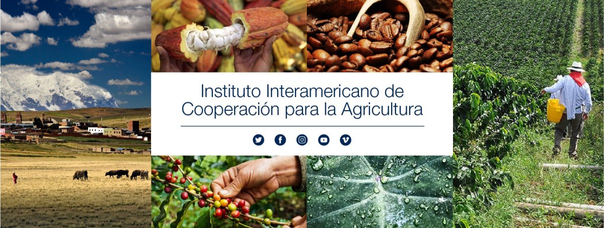 IICA - Instituto Interamericano de Cooperación para la Agricultura