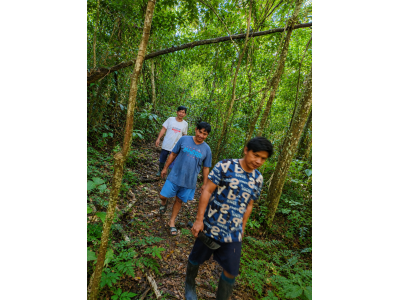Bosque primario amazónico