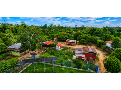 Biodiversidad amazónica