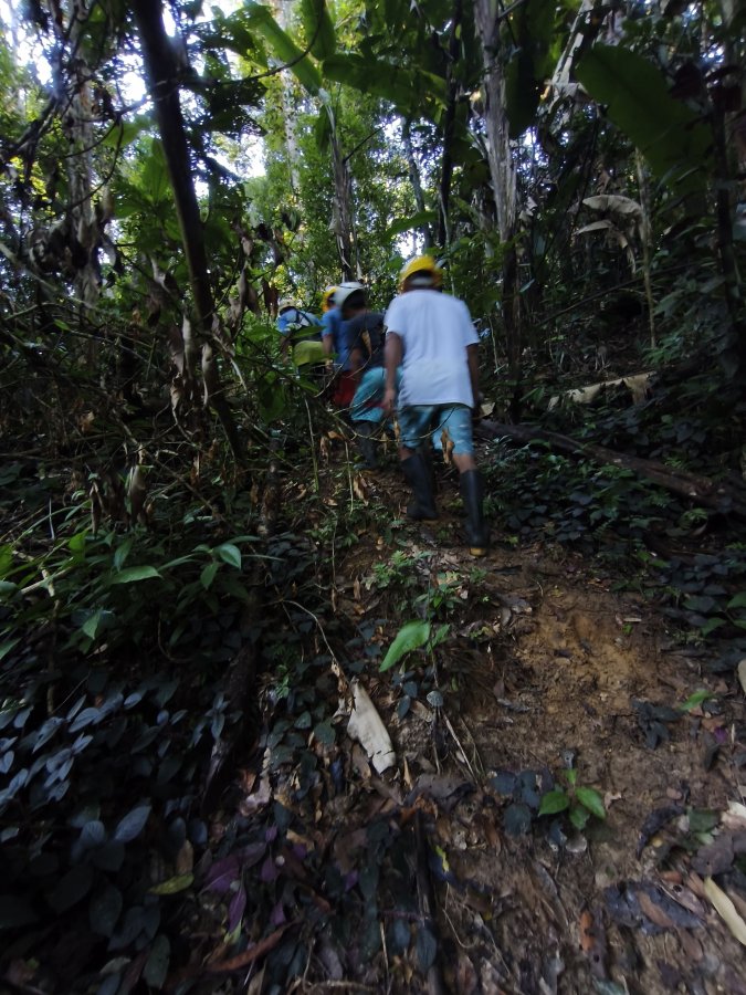 Caminata por el Bosque Castañero